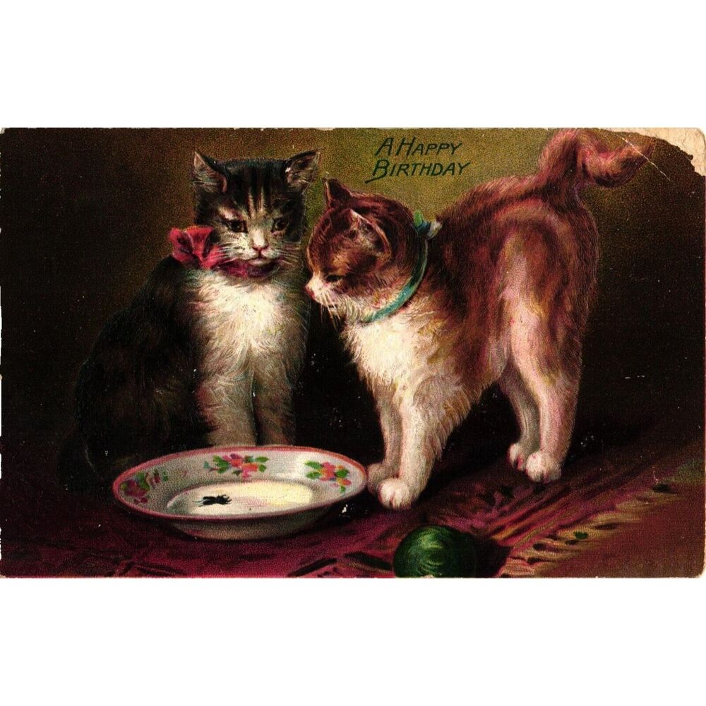 Kittens with Saucer of Milk Happy Birthday Tuck and Sons Postcard Posted 1910‎